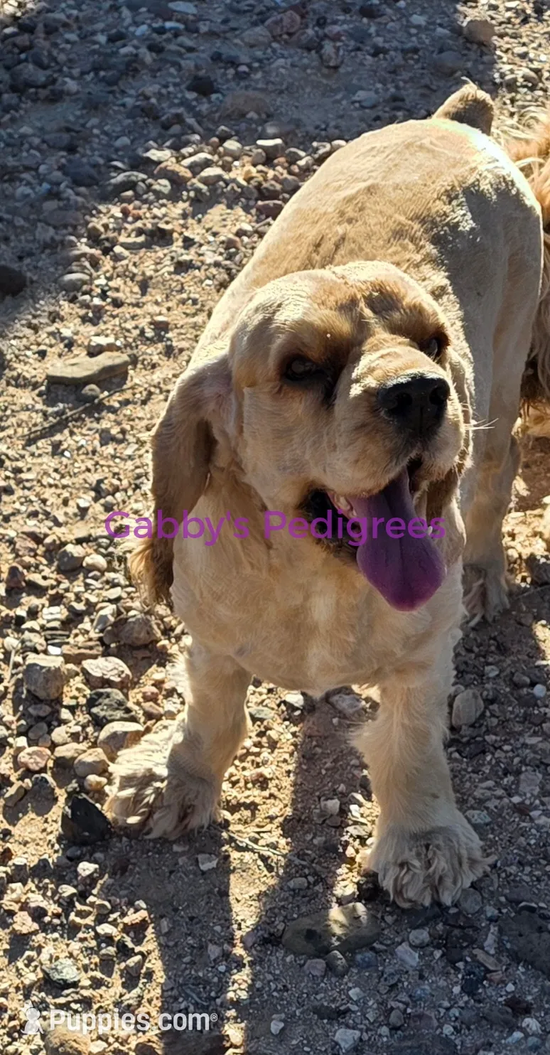 processed/2b9b6833-eac0-4175-a6cc-bef7fc52b697/listing/78c8357d-8439-4008-9793-f2ef5177b68a/71a9e87c-ff4f-41cd-a3b7-003f6bd3b966