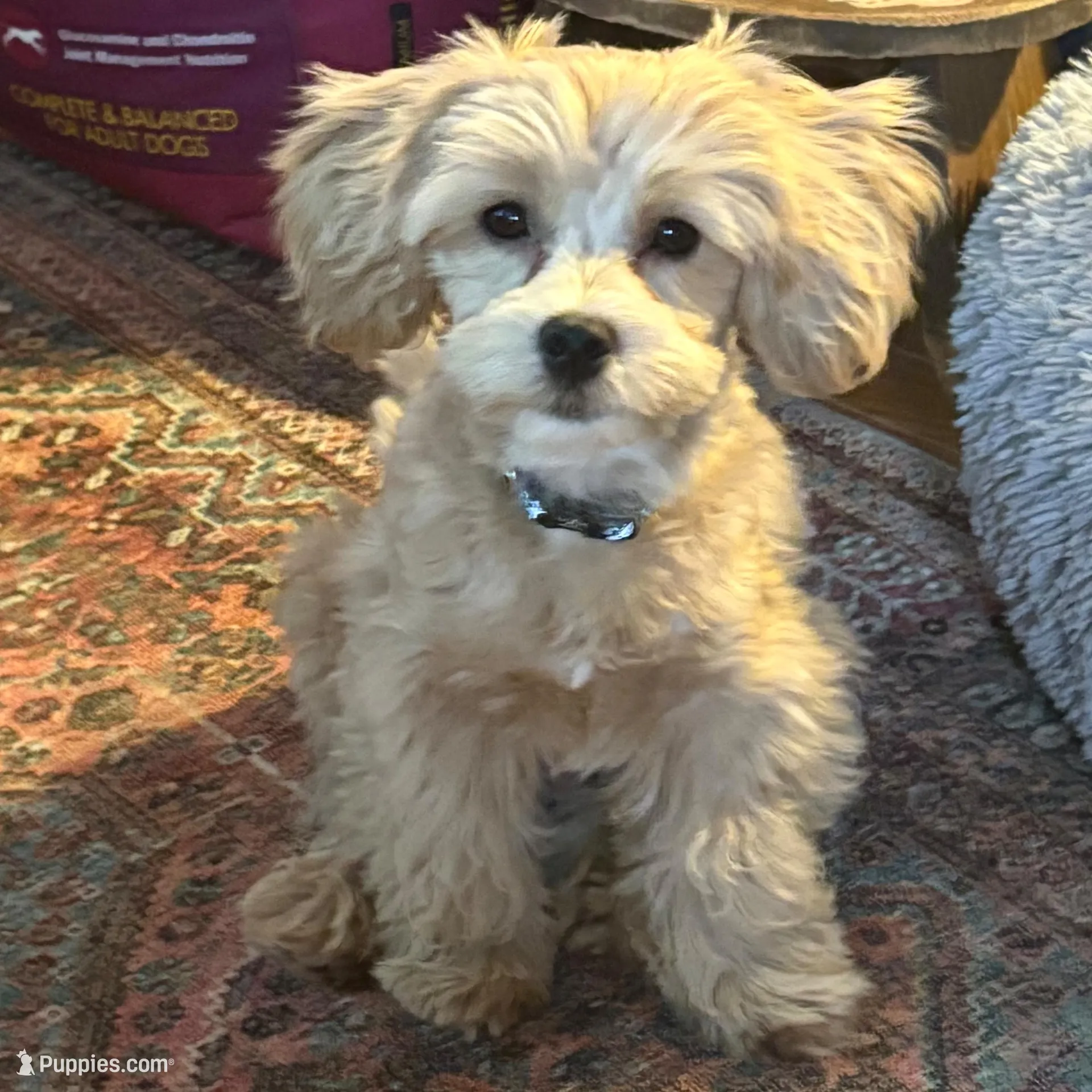 processed/2b9c48e4-2f4b-464b-84a7-d74b47eff48f/facility/53d2eebb-ad28-41fe-a02f-719833ecf1a4