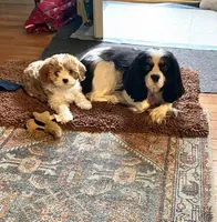 processed/2b9c48e4-2f4b-464b-84a7-d74b47eff48f/facility/66a3330c-98bb-4fc2-b31a-5cb0adfb86fd