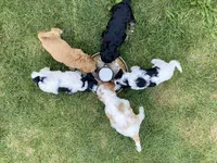 processed/2b9c48e4-2f4b-464b-84a7-d74b47eff48f/facility/68f7c796-363d-4215-bf77-a30816da3004