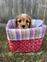 processed/2b9c48e4-2f4b-464b-84a7-d74b47eff48f/facility/85609c1b-818e-45a8-95cb-bbad601862c6