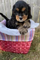 processed/2b9c48e4-2f4b-464b-84a7-d74b47eff48f/facility/b617a065-04da-40fa-89f4-fd614b53071d