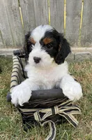 processed/2b9c48e4-2f4b-464b-84a7-d74b47eff48f/facility/f344f333-9268-4670-9b76-93e8c388563a