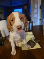 processed/2ba20dec-01f0-4d6d-b639-b4c7b6c9c4f6/listing/2a779fd1-32b9-459a-a4c2-3baf6ab892a3/4cc437c9-99f5-46c5-a1bc-709c1407f98e