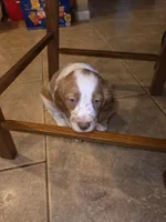 processed/2ba20dec-01f0-4d6d-b639-b4c7b6c9c4f6/listing/2a779fd1-32b9-459a-a4c2-3baf6ab892a3/8bc65ecc-0b61-47d3-92af-3a75a642d868