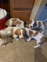 processed/2ba20dec-01f0-4d6d-b639-b4c7b6c9c4f6/listing/2a779fd1-32b9-459a-a4c2-3baf6ab892a3/a0a6d0a3-ee98-46f8-930c-a47e839e0102