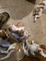 processed/2ba20dec-01f0-4d6d-b639-b4c7b6c9c4f6/listing/2a779fd1-32b9-459a-a4c2-3baf6ab892a3/b47a3cb2-8958-44c7-8537-1fa080d4b940