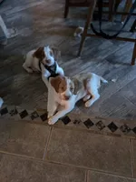 processed/2ba20dec-01f0-4d6d-b639-b4c7b6c9c4f6/listing/2a779fd1-32b9-459a-a4c2-3baf6ab892a3/d9b9f9c3-14ee-4761-bc58-3ecc08bb54e9