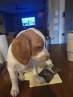 processed/2ba20dec-01f0-4d6d-b639-b4c7b6c9c4f6/listing/2a779fd1-32b9-459a-a4c2-3baf6ab892a3/fed5985e-afb8-4c8c-9b2c-efc4a7108324