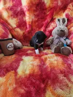 Purple, a female Great Dane for sale in Clarkston, MI – Photo 1 of 5