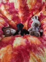 Red, a male Great Dane for sale in Clarkston, MI – Photo 1 of 4