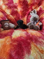 Orange, a male Great Dane for sale in Clarkston, MI – Photo 1 of 5