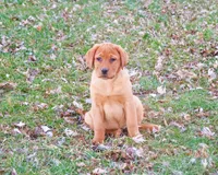 processed/2bb3ca4a-ce9f-432e-b141-8b0fc573c641/listing/0db8134d-91ea-47be-8c27-d83c7d26a001/07f28988-c7c1-439f-8732-959d2636e70f