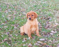 processed/2bb3ca4a-ce9f-432e-b141-8b0fc573c641/listing/0db8134d-91ea-47be-8c27-d83c7d26a001/9cb05e49-235e-4056-aa9d-fcb9e7ec663f