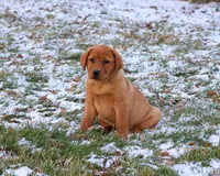 processed/2bb3ca4a-ce9f-432e-b141-8b0fc573c641/listing/0db8134d-91ea-47be-8c27-d83c7d26a001/aed54cd4-1b93-47ae-b742-6208e2c6a6be