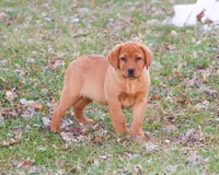 processed/2bb3ca4a-ce9f-432e-b141-8b0fc573c641/listing/0db8134d-91ea-47be-8c27-d83c7d26a001/cad6cc11-6582-4fd4-9405-2005f6774621