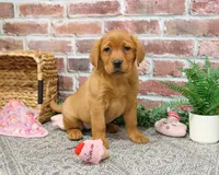 processed/2bb3ca4a-ce9f-432e-b141-8b0fc573c641/listing/0db8134d-91ea-47be-8c27-d83c7d26a001/e3a66d36-db3c-401b-8c9a-a8e03662bf9f