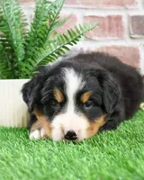 processed/2bb3ca4a-ce9f-432e-b141-8b0fc573c641/listing/1679b14c-38e5-4714-b714-04ae082a4450/4c590454-48e2-4853-90bb-ff768fb45cd1