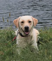 processed/2bb3ca4a-ce9f-432e-b141-8b0fc573c641/listing/22bbebfd-4757-43c8-8182-f968862a6529/6ab5c9fc-ee30-404a-ba8a-29fb5c0b2f9f