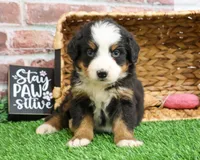 processed/2bb3ca4a-ce9f-432e-b141-8b0fc573c641/listing/3914e6d6-0152-4027-b00e-6222b8cc7410/b976ac9a-957b-4cba-ad86-89582fc64c2c