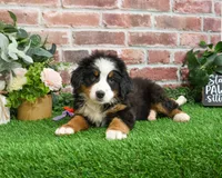 processed/2bb3ca4a-ce9f-432e-b141-8b0fc573c641/listing/3914e6d6-0152-4027-b00e-6222b8cc7410/e290060a-245e-4ea6-828a-176dee6a397a