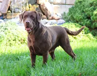 processed/2bb3ca4a-ce9f-432e-b141-8b0fc573c641/listing/4a550279-58fe-4a51-a6a3-5462895ad991/d285ed3b-785b-4eef-89b9-f80dd853755c