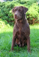 processed/2bb3ca4a-ce9f-432e-b141-8b0fc573c641/listing/4a550279-58fe-4a51-a6a3-5462895ad991/f6e5759b-5b94-43b4-b309-637ae9c3ec02