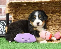 processed/2bb3ca4a-ce9f-432e-b141-8b0fc573c641/listing/c0c01ced-d205-45f4-a365-4f30be7ae82a/6a436887-9c6d-44e1-b68a-a32ee42c2721