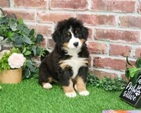 processed/2bb3ca4a-ce9f-432e-b141-8b0fc573c641/listing/c0c01ced-d205-45f4-a365-4f30be7ae82a/a7033094-8eec-4af6-b464-7a0a8d6d6c2b