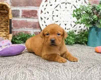 processed/2bb3ca4a-ce9f-432e-b141-8b0fc573c641/listing/e3fb4da5-6dc5-4e6f-8b09-7610fafe561d/2c652448-4ba0-4902-83cf-1f5a32014d8f