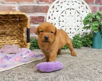 processed/2bb3ca4a-ce9f-432e-b141-8b0fc573c641/listing/e3fb4da5-6dc5-4e6f-8b09-7610fafe561d/5cc81fb4-a1c1-4686-9c0d-2cfc38ee67a4