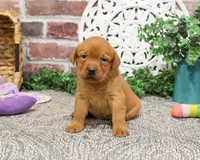 processed/2bb3ca4a-ce9f-432e-b141-8b0fc573c641/listing/e3fb4da5-6dc5-4e6f-8b09-7610fafe561d/e163f981-e27e-4f4a-99d2-fb287257324d