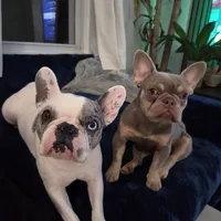 processed/2bcfdb30-b50b-49ca-a245-1e0ca69dea8c/facility/918c0e06-4c91-4b86-a6bc-f0442f0641a4