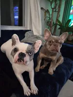 processed/2bcfdb30-b50b-49ca-a245-1e0ca69dea8c/facility/918c0e06-4c91-4b86-a6bc-f0442f0641a4