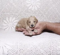 processed/2be10265-9b06-4dfe-b177-752f6c7ed9e7/listing/13787a76-9384-4538-a5b2-05ff9495f1d5/856ff257-2e25-4e3f-aa3b-776c868abcb2