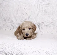 processed/2be10265-9b06-4dfe-b177-752f6c7ed9e7/listing/13787a76-9384-4538-a5b2-05ff9495f1d5/c90a6d78-32dd-4535-851f-72002ee932be