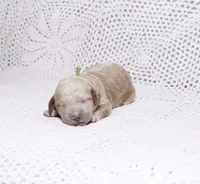 processed/2be10265-9b06-4dfe-b177-752f6c7ed9e7/listing/f0678ab5-21c3-4df3-81ef-c5b55c85d63f/7ba79b68-4bb6-4f86-bf43-1c6286e2fd35