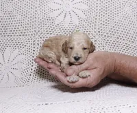 processed/2be10265-9b06-4dfe-b177-752f6c7ed9e7/listing/f0678ab5-21c3-4df3-81ef-c5b55c85d63f/8e63bd7e-fb59-4acb-a4c6-9f4aa6af18f8