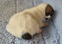 processed/2bea075f-1eee-4965-b141-049fda8cfe45/listing/239b69f7-24bd-49b6-9793-010e362508ed/18bb039f-6e49-404b-81fc-b16ab05e33d9