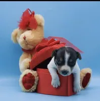 processed/2bea075f-1eee-4965-b141-049fda8cfe45/listing/284a5a90-6483-4bc6-b7d0-03b1c16124e0/0500a8cd-186d-4d16-8bed-6ef71cdfed23