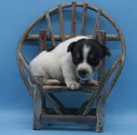 processed/2bea075f-1eee-4965-b141-049fda8cfe45/listing/284a5a90-6483-4bc6-b7d0-03b1c16124e0/34774677-34d7-49a0-9eff-7dc4f5d1ed6e