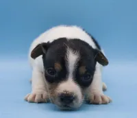 processed/2bea075f-1eee-4965-b141-049fda8cfe45/listing/284a5a90-6483-4bc6-b7d0-03b1c16124e0/72ff339e-f364-4b6d-a66c-9c2aeef8a17d