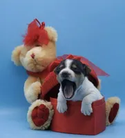 processed/2bea075f-1eee-4965-b141-049fda8cfe45/listing/284a5a90-6483-4bc6-b7d0-03b1c16124e0/b7eae37b-1679-4431-8f8f-14dac7d66b08