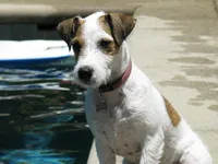 processed/2bea075f-1eee-4965-b141-049fda8cfe45/listing/5454d8be-46a1-4e48-b5a0-4729fce7b0e8/063bf895-d5ee-47e5-95ae-f02581fb136d