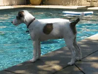 processed/2bea075f-1eee-4965-b141-049fda8cfe45/listing/5454d8be-46a1-4e48-b5a0-4729fce7b0e8/641f165a-78a2-4aeb-849b-f18c84c9922e