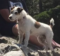 processed/2bea075f-1eee-4965-b141-049fda8cfe45/listing/5454d8be-46a1-4e48-b5a0-4729fce7b0e8/8587ffee-3518-4e44-a1b1-9b59477ce575