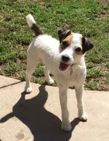 processed/2bea075f-1eee-4965-b141-049fda8cfe45/listing/5454d8be-46a1-4e48-b5a0-4729fce7b0e8/d4ba61b4-6ccb-4552-835b-463e039021b6