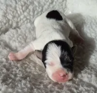 processed/2bea075f-1eee-4965-b141-049fda8cfe45/listing/5e8efc85-52a6-45e8-9e4b-8483b9ab30d2/6a86928d-fdb9-4ebc-89ce-7fbbf21d0cc2