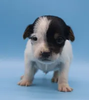 processed/2bea075f-1eee-4965-b141-049fda8cfe45/listing/5e8efc85-52a6-45e8-9e4b-8483b9ab30d2/ab492b18-dc4e-493a-9ed2-d558213c1190