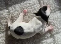 processed/2bea075f-1eee-4965-b141-049fda8cfe45/listing/5e8efc85-52a6-45e8-9e4b-8483b9ab30d2/cd70e168-331b-4eff-89a5-978c8e91e95d